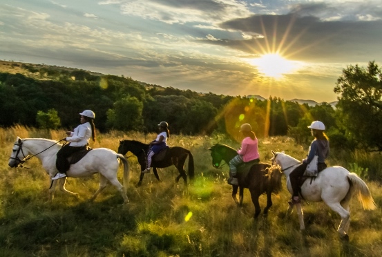 Rustenburg Sunset Horseback Safari